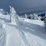 Tomi 度假居