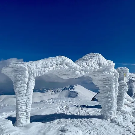 Bungalow Дом отдыха Липтовски-Ян