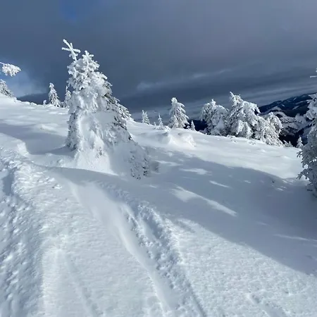 Bungalow Vakantiehuis