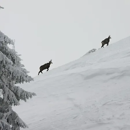 Semesterbostad Bungalow Liptovský Ján